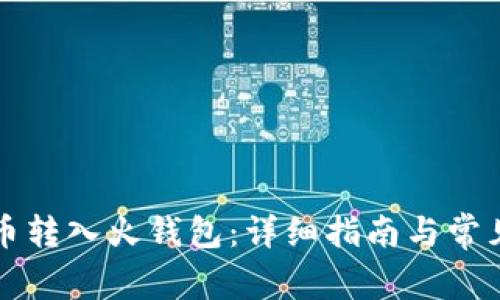 如何将屎币转入火钱包：详细指南与常见问题解析