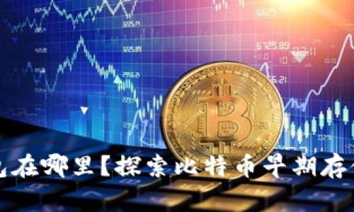 以前的比特币钱包在哪里？探索比特币早期存储解决方案及现状