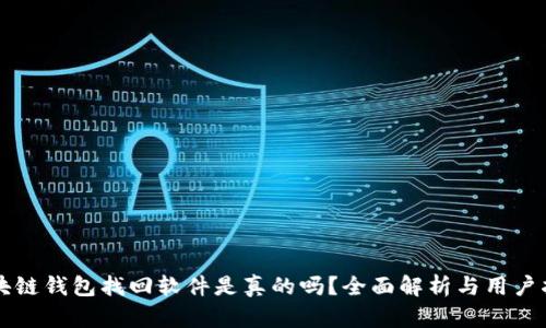 区块链钱包找回软件是真的吗？全面解析与用户指南