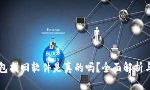 区块链钱包找回软件是真的吗？全面解析与用户指南
