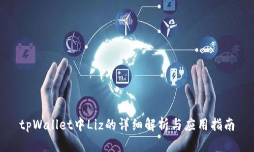 tpWallet中Liz的详细解析与应用指南