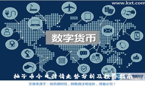 柚子币今日行情走势分析及投资指南