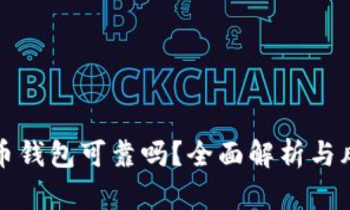 存比特币钱包可靠吗？全面解析与风险评估