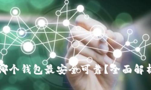 比特币哪个钱包最安全可靠？全面解析与推荐