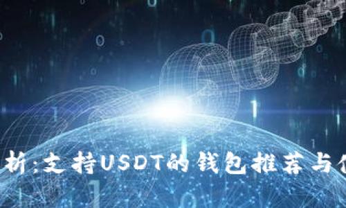  全面解析：支持USDT的钱包推荐与使用指南