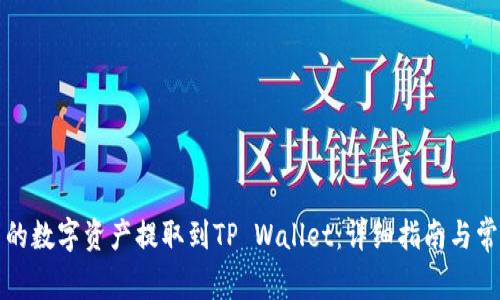 如何将欧易的数字资产提取到TP Wallet：详细指南与常见问题解答