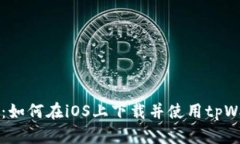 全面解析：如何在iOS上下载并使用tpWallet应用