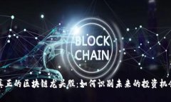 真正的区块链龙头股：如何识别未来的投资机会