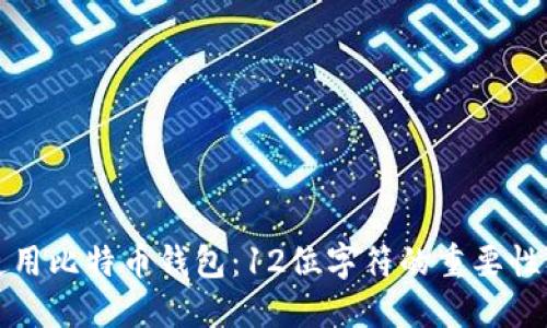 如何安全使用比特币钱包：12位字符的重要性及使用指南