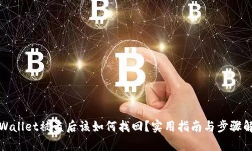 tpWallet被盗后该如何找回？实用指南与步骤解析