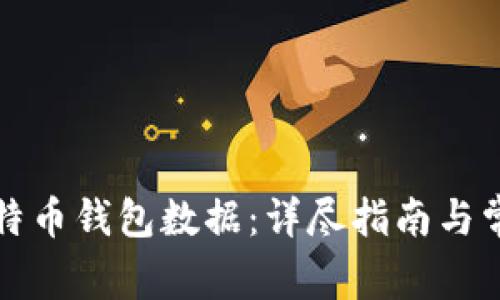 如何打开比特币钱包数据：详尽指南与常见问题解答