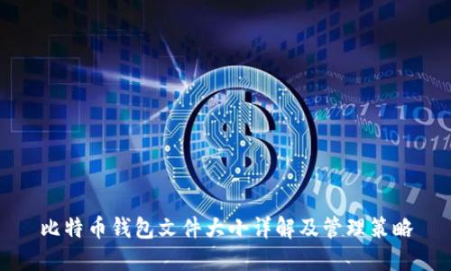 比特币钱包文件大小详解及管理策略