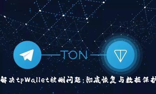 如何解决tpWallet被删问题：彻底恢复与数据保护指南