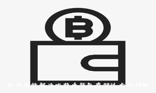如何高效解决比特币钱包存储过大的问题