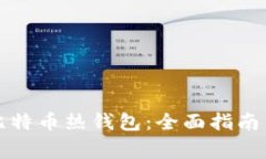 如何安全下载比特币热钱