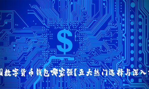 中国数字货币钱包哪家强？五大热门选择与深入分析