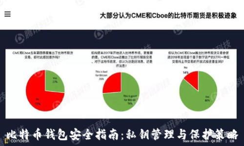 比特币钱包安全指南:私钥管理与保护策略