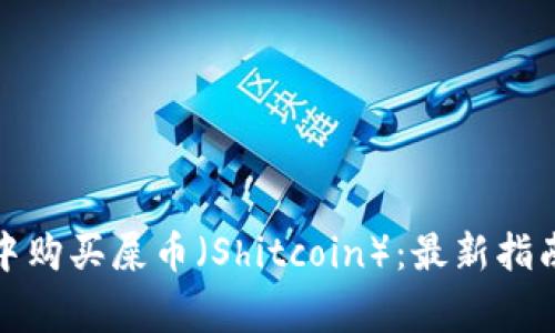 如何在钱包中购买屎币（Shitcoin）：最新指南与注意事项