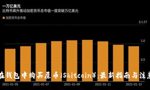 如何在钱包中购买屎币（Shitcoin）：最新指南与注意事项