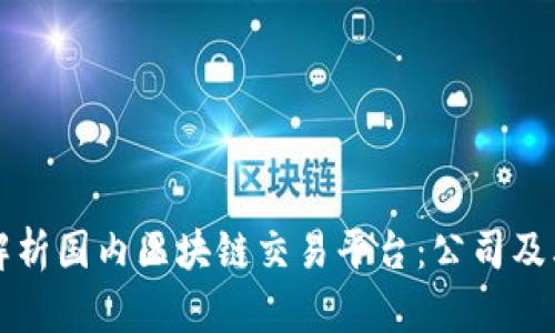 全面解析国内区块链交易平台：公司及其特点