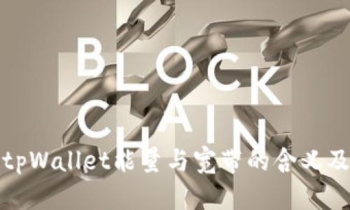 深入解析tpWallet能量与宽带的含义及其重要性