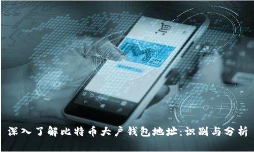 深入了解比特币大户钱包地址：识别与分析