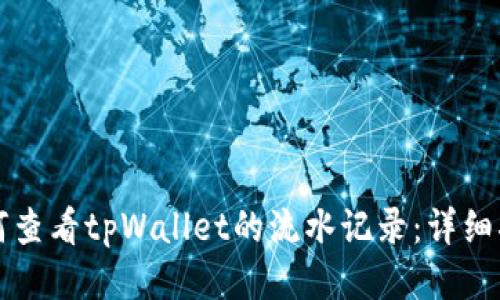 如何查看tpWallet的流水记录：详细指南