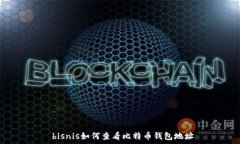    bisnis如何查看比特币钱