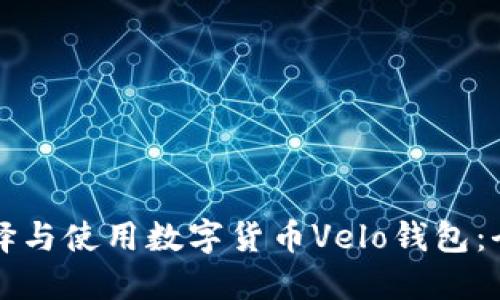 如何选择与使用数字货币Velo钱包：全面指南