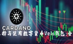 如何选择与使用数字货币