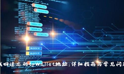 如何找回遗忘的tpWallet地址：详细指南与常见问题解答