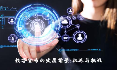 数字货币的发展前景：机遇与挑战