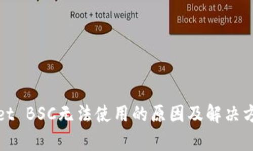 tpWallet BSC无法使用的原因及解决方案详解