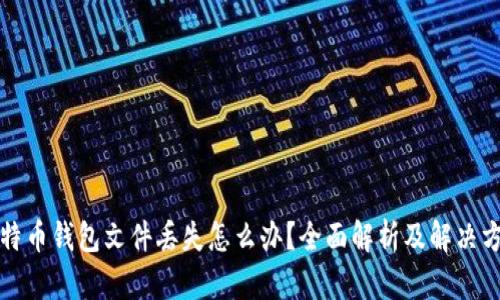 比特币钱包文件丢失怎么办？全面解析及解决方案