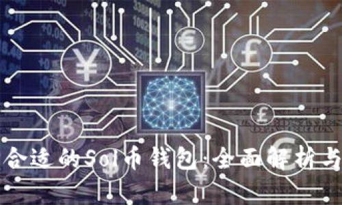 如何选择合适的Sol币钱包：全面解析与用户指南