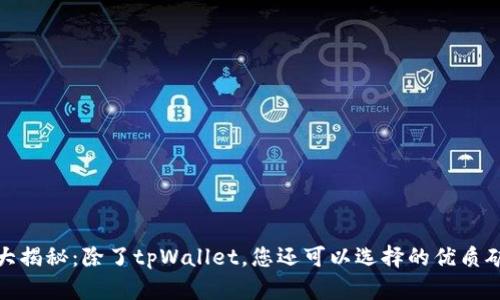 挖矿方式大揭秘：除了tpWallet，您还可以选择的优质矿池与钱包