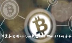 如何设置和使用Solana钱包