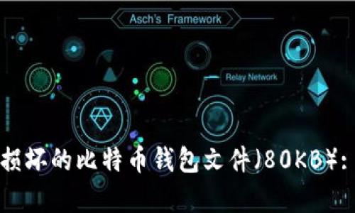 如何修复损坏的比特币钱包文件（80KB）: 完整指南