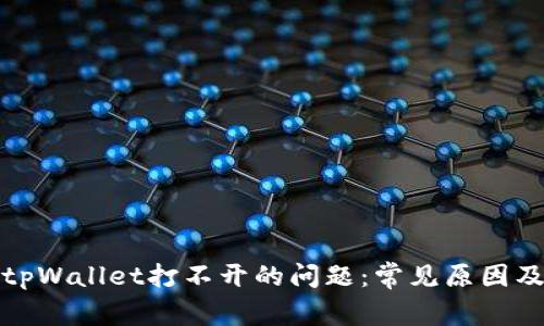 如何解决tpWallet打不开的问题：常见原因及解决方案