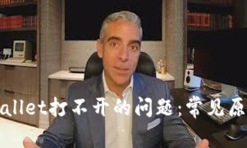 如何解决tpWallet打不开的问题：常见原因及解决方案