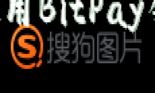 如何下载和使用BitPay钱包：完整指南