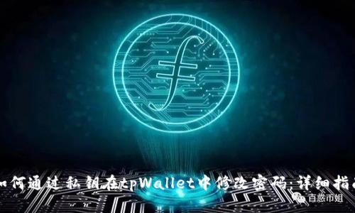 如何通过私钥在tpWallet中修改密码：详细指南