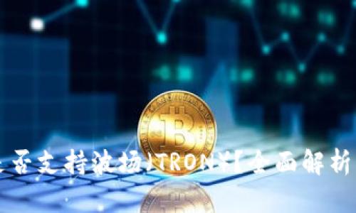 tpWallet是否支持波场（TRON）？全面解析与使用指南