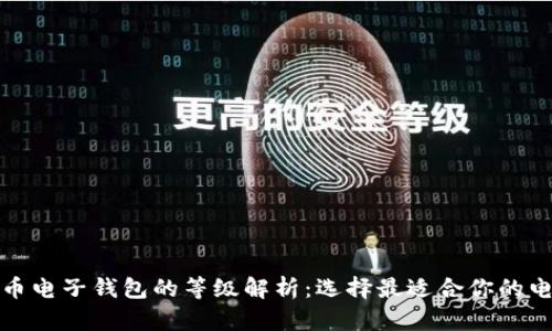 数字货币电子钱包的等级解析：选择最适合你的电子钱包