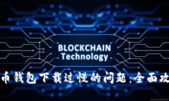 如何解决比特币钱包下载过慢的问题：全面攻略