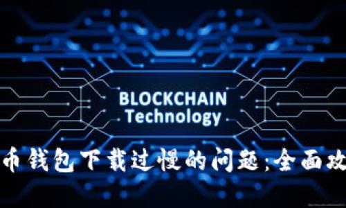 如何解决比特币钱包下载过慢的问题：全面攻略与解决方案