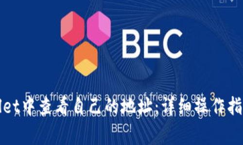 如何在tpWallet中查看自己的地址：详细操作指南与常见问题