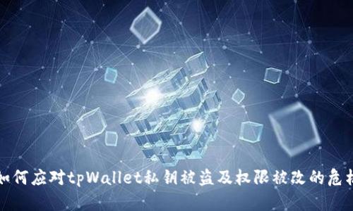 如何应对tpWallet私钥被盗及权限被改的危机