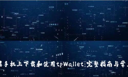 如何在苹果手机上下载和使用tpWallet：完整指南与常见问题解答