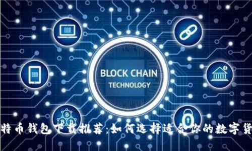 最佳比特币钱包下载推荐：如何选择适合你的数字货币钱包